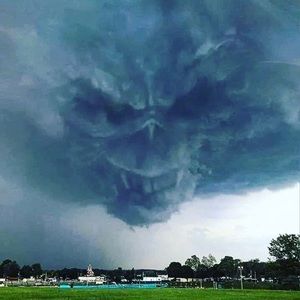 Meet your Posher, Dominic